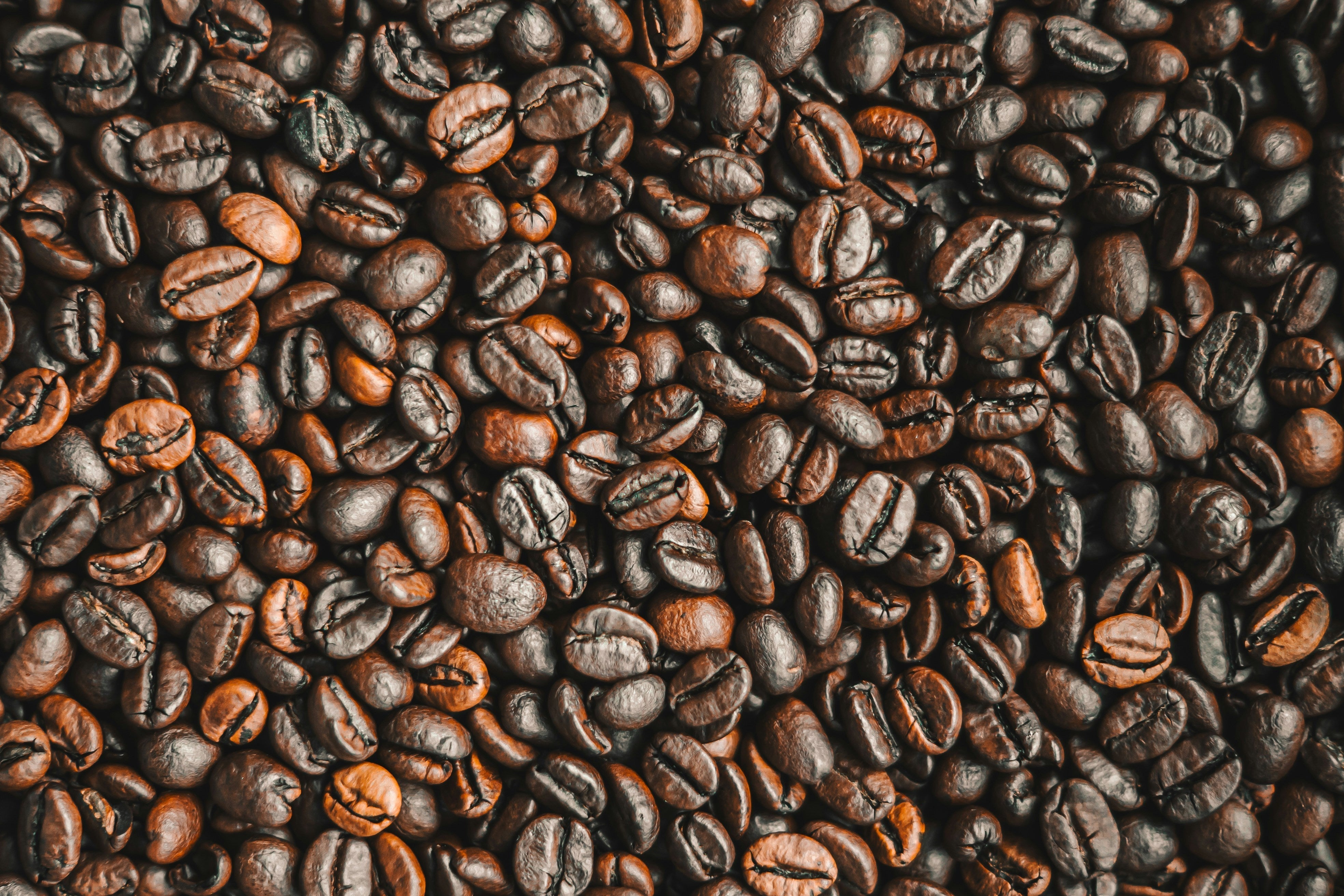Differences Between Arabica Coffee Beans and Robusta Coffee Beans
