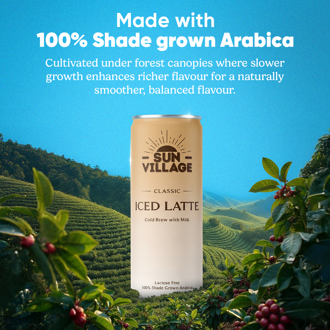 Classic Iced Latte - 180 Ml